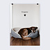 Poster personnalisé Animaux de Compagnie