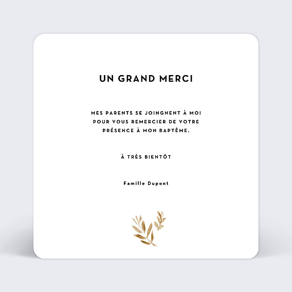 Remerciements Baptême Golden Jungle