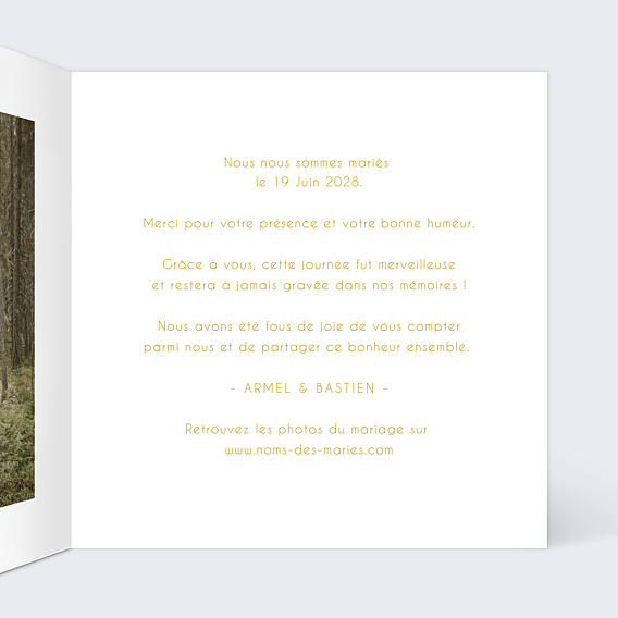 Carte remerciement mariage Fairy Lights Intérieur Droit