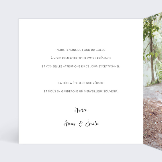Remerciements mariage Dorure Pois Merci