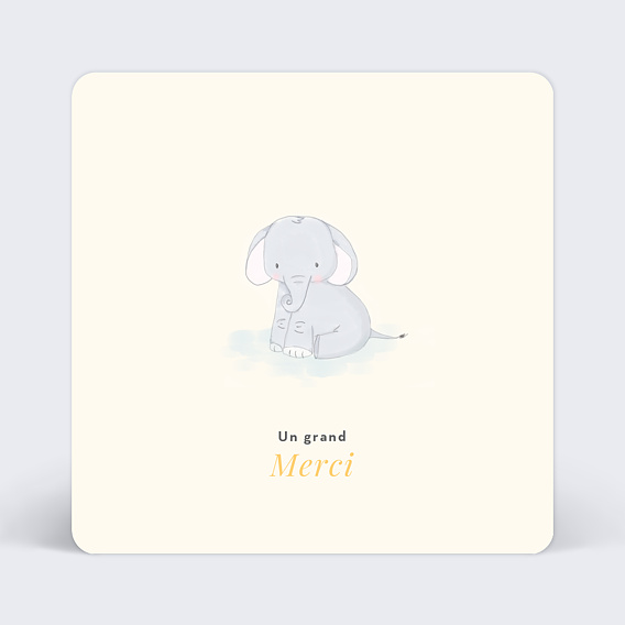 Remerciements Naissance Baby elephant