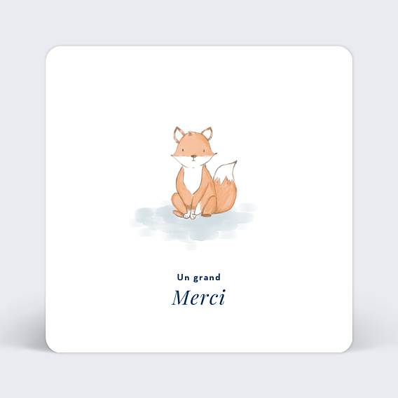 Remerciements Naissance Baby fox