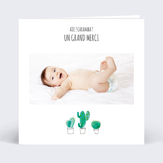 Remerciements Naissance Petits cactus