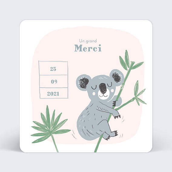 Remerciements Naissance Koala original