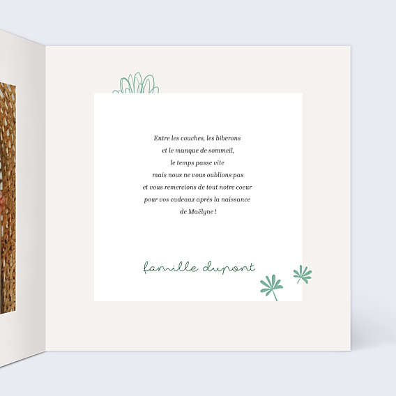 Remerciements Naissance Tropical