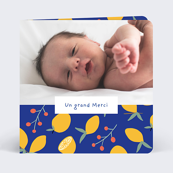 Remerciements Naissance Fruits Mignons