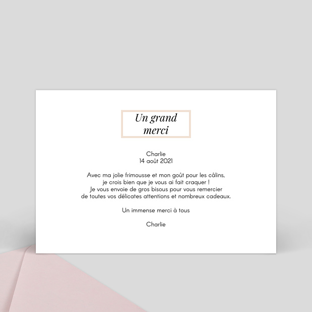Carte de Remerciements de Naissance Etiquette Poudrée Verso