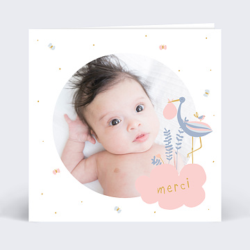 Remerciements Naissance Douce Cigogne