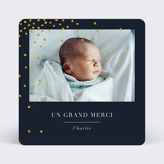 Remerciements Naissance Poussière d'Étoiles