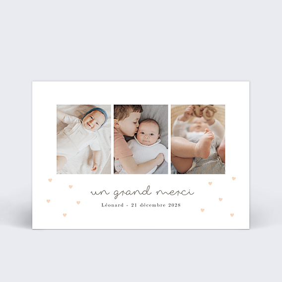 Remerciements Naissance Plumetis