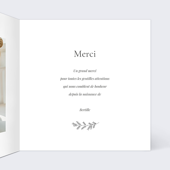 Remerciements Naissance Fleurs automnales