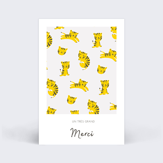 Carte remerciement naissance Graouu