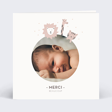 Remerciements Naissance Virtuels Savane