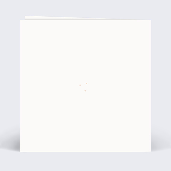 Carte remerciement naissance Savane Verso