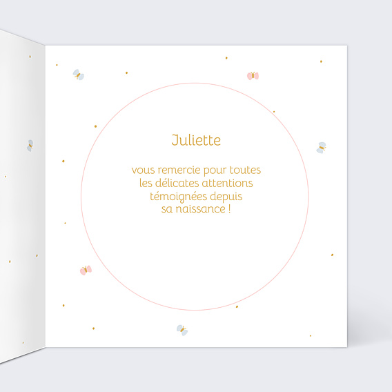 Remerciements Naissance Douce Cigogne