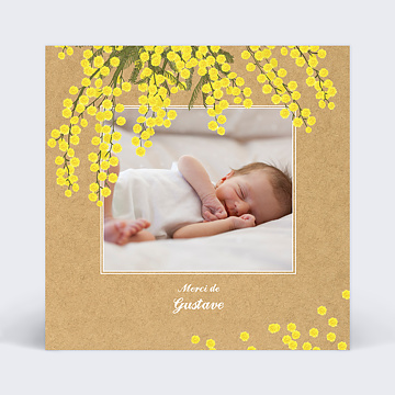 Remerciements Baptme Mimosa simple