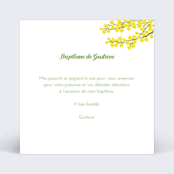 Remerciements Baptême Mimosa