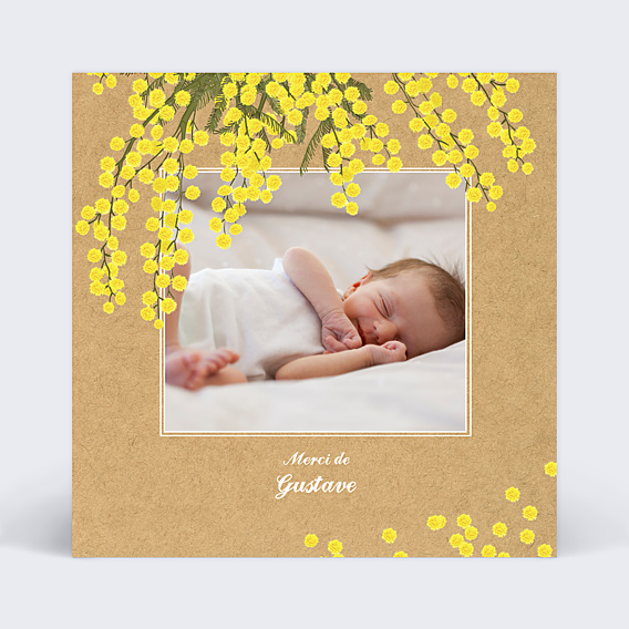 Remerciements Baptême Mimosa simple