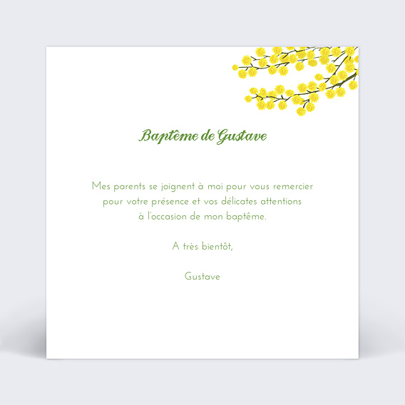 Remerciements Baptême Mimosa simple