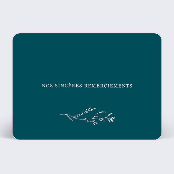 Carte remerciement décès Brindilles