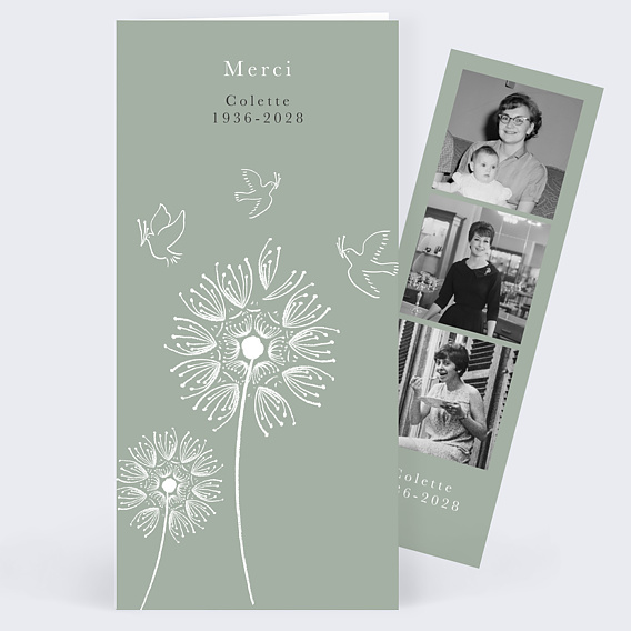 Carte à planter - Remerciement de condoléances - Fleur de gratitude - lot  de 10 cartes - Parsemains