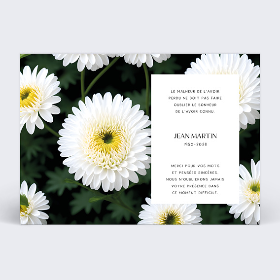 Carte à planter - Remerciement de condoléances - Fleur de gratitude - lot  de 10 cartes - Parsemains