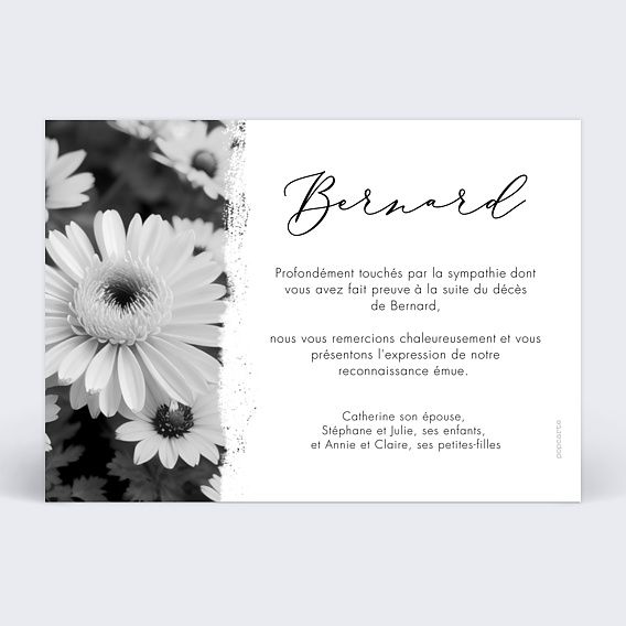 Carte remerciement décès Effet Photo Paysage Verso