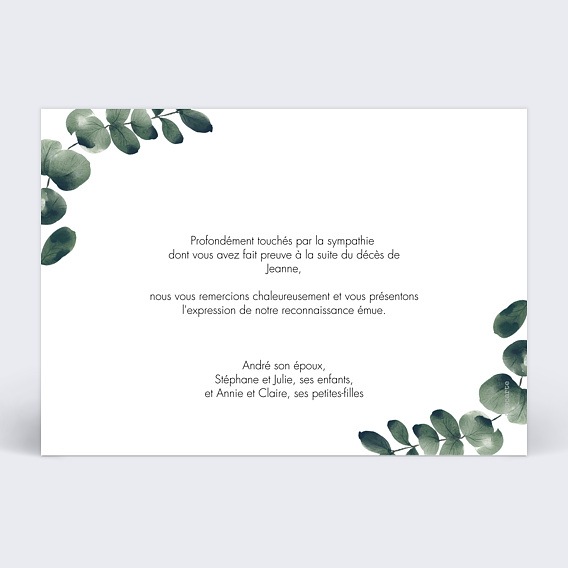 Carte remerciement décès Branche d’Eucalyptus paysage Verso