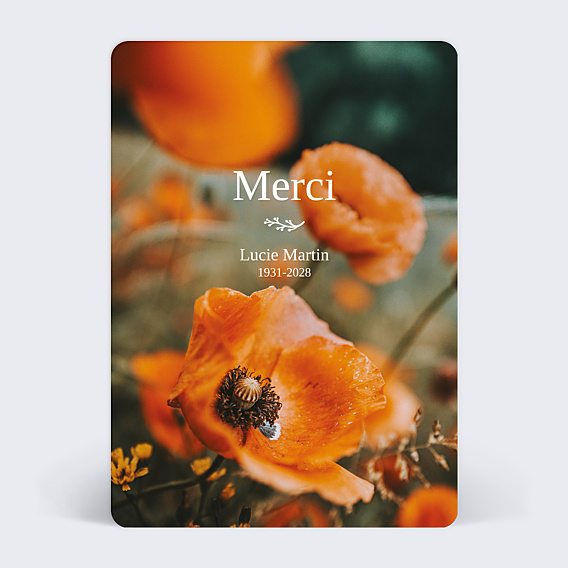 Carte remerciement décès Poppies