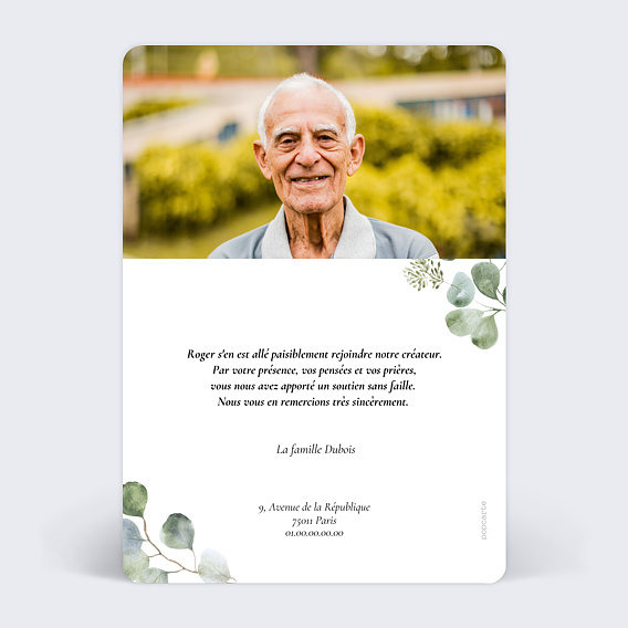 Carte remerciement décès Eucalyptus Original Verso
