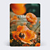 Carte remerciement décès Poppies