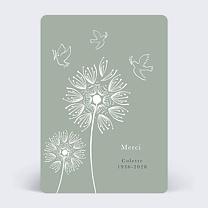 Fleurs et Colombes