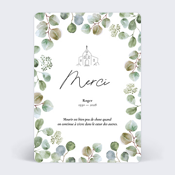 Carte remerciement dcs Eucalyptus Original