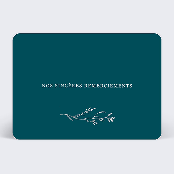 Carte remerciement décès Brindilles