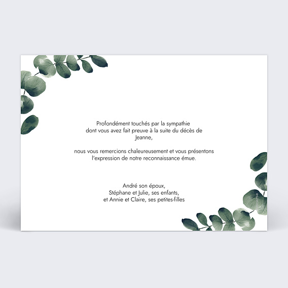 Remerciements Décès Branche d’Eucalyptus paysage