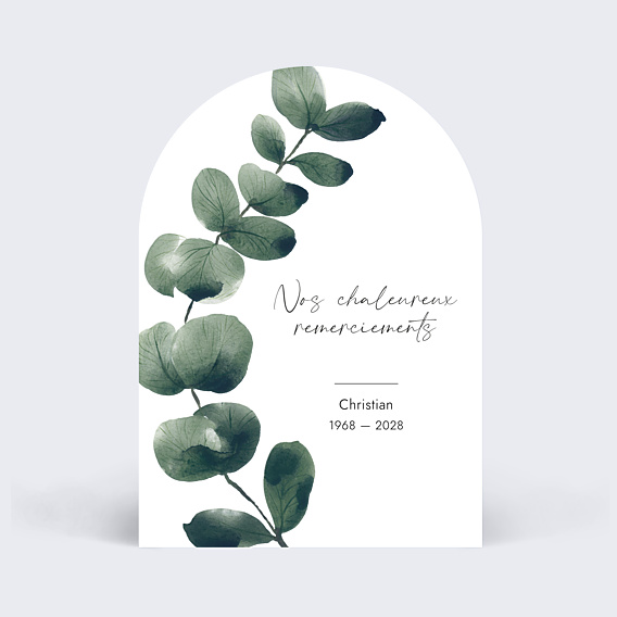 Remerciements Décès  Branche d'Eucalyptus