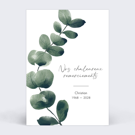 Carte remerciement décès  Branche d'Eucalyptus