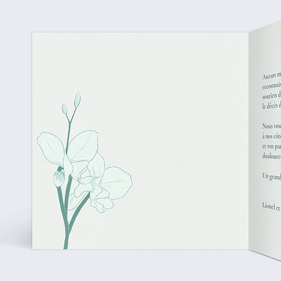 Carte remerciement décès Jolie orchidée verte Intérieur Gauche