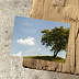 Remerciements Décès Arbre photo