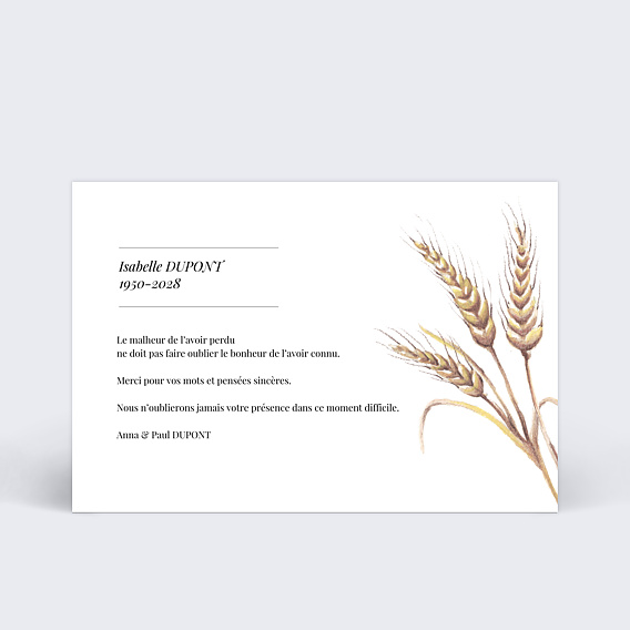 Carte remerciement décès Joli epis de blé