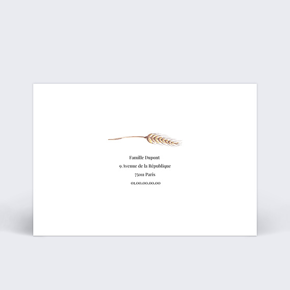 Carte remerciement décès Joli epis de blé Verso