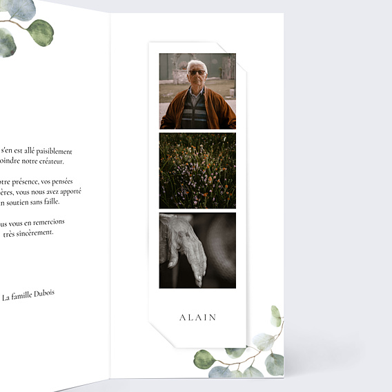Remerciements Décès Couronne Ocre Eucalyptus