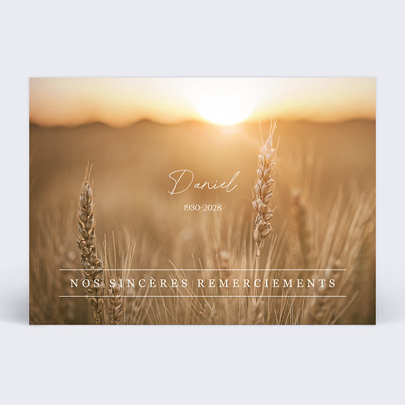 Carte remerciement décès Blé photo Recto