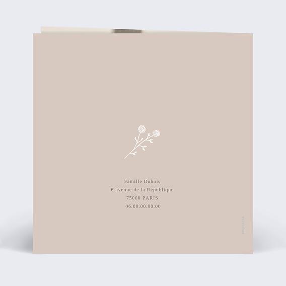 Carte remerciement décès Colombe au Crayon Verso