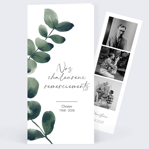 Carte remerciement décès Branche d'Eucalyptus