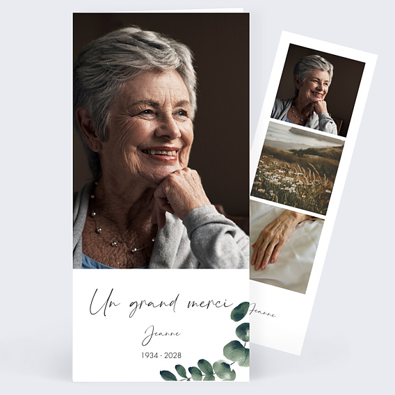 Carte remerciement décès Branche d’Eucalyptus paysage