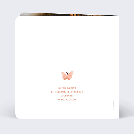 Carte remerciement décès Papillon Rose Verso