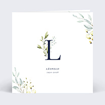 Lettrine