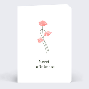 Remerciements Dcs Coquelicots