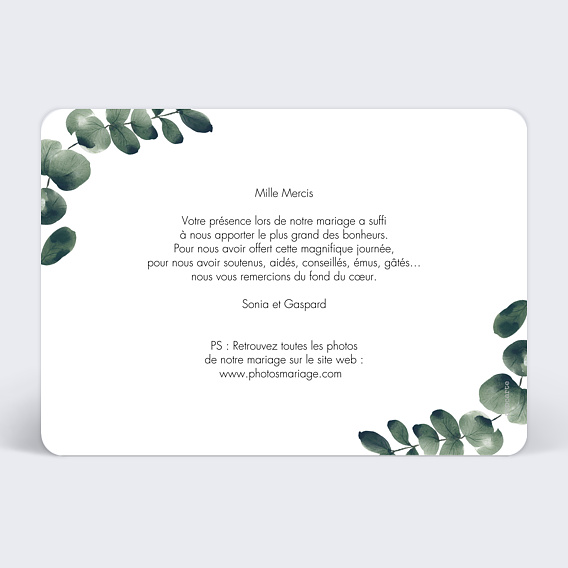 Carte remerciement mariage Branche d’Eucalyptus Verso